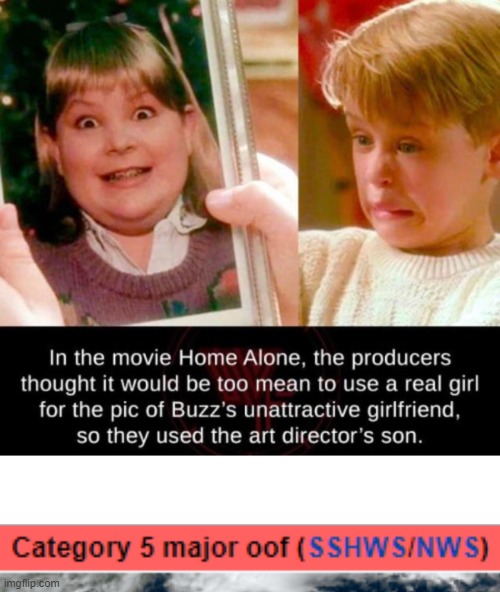 oof, indeed | image tagged in home alone,oof | made w/ Imgflip meme maker