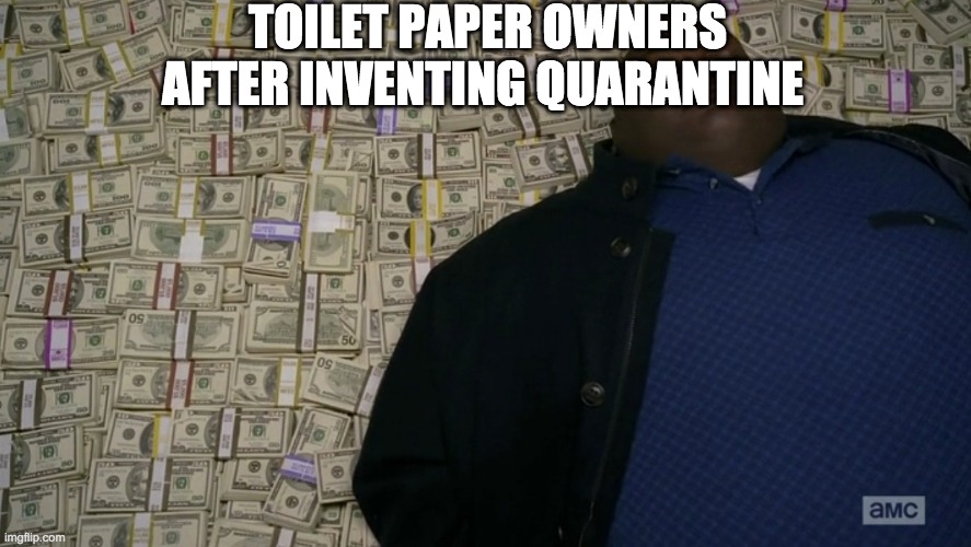 guy sleeping on pile of money | TOILET PAPER OWNERS AFTER INVENTING QUARANTINE | image tagged in guy sleeping on pile of money | made w/ Imgflip meme maker