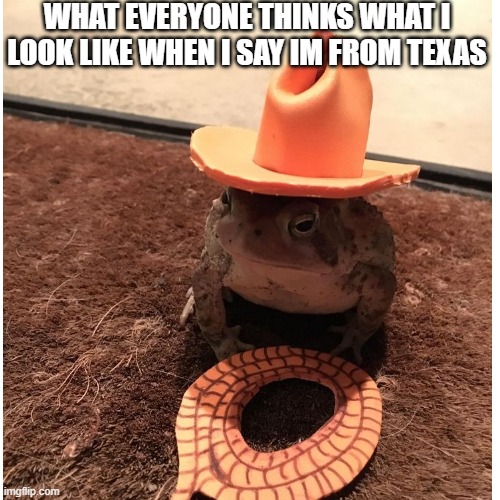 WHAT EVERYONE THINKS WHAT I LOOK LIKE WHEN I SAY IM FROM TEXAS | image tagged in frog | made w/ Imgflip meme maker