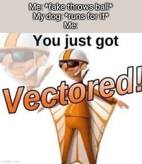 You just got vectored | Me: *fake throws ball*
My dog: *runs for it*
Me: | image tagged in you just got vectored | made w/ Imgflip meme maker