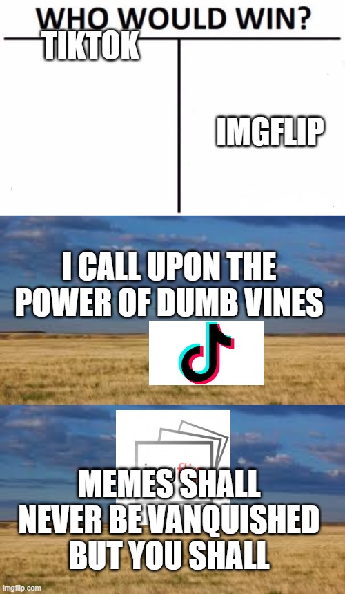 Tiktok vs Imgflip | IMGFLIP; TIKTOK; I CALL UPON THE POWER OF DUMB VINES; MEMES SHALL NEVER BE VANQUISHED BUT YOU SHALL | image tagged in memes,who would win | made w/ Imgflip meme maker