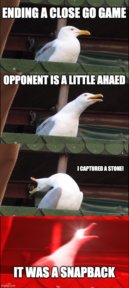 Inhaling Seagull Meme | ENDING A CLOSE GO GAME; OPPONENT IS A LITTLE AHAED; I CAPTURED A STONE! IT WAS A SNAPBACK | image tagged in memes,inhaling seagull | made w/ Imgflip meme maker