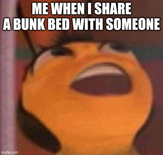 Bee Movie | ME WHEN I SHARE A BUNK BED WITH SOMEONE | image tagged in bee movie | made w/ Imgflip meme maker