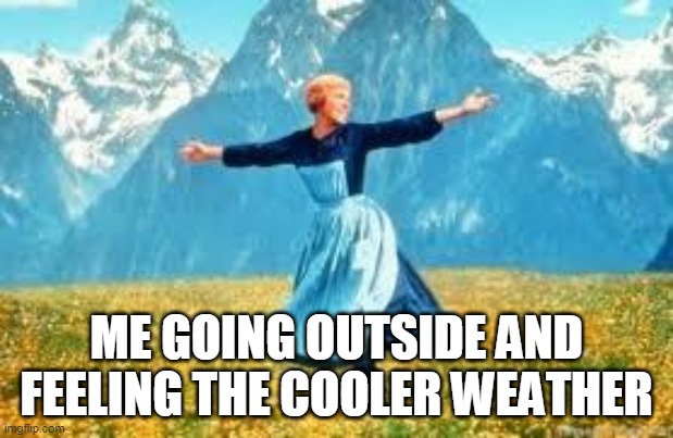 Cool weather |  ME GOING OUTSIDE AND FEELING THE COOLER WEATHER | image tagged in memes,look at all these,cool,weather,fall | made w/ Imgflip meme maker
