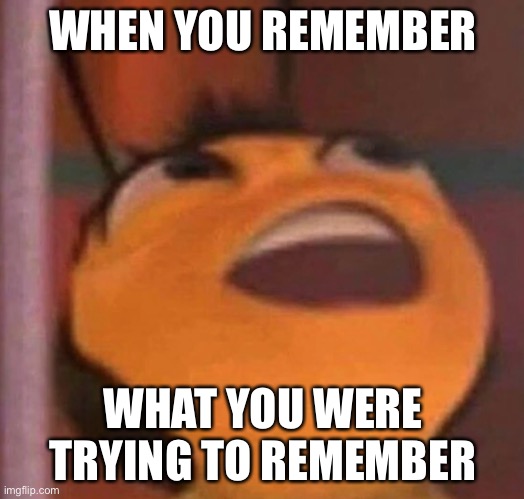 Bee Movie | WHEN YOU REMEMBER; WHAT YOU WERE TRYING TO REMEMBER | image tagged in bee movie | made w/ Imgflip meme maker