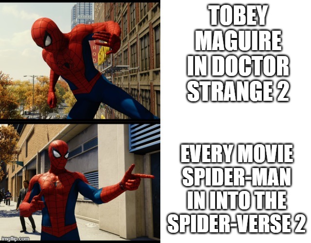 that sounds better. | TOBEY MAGUIRE IN DOCTOR STRANGE 2; EVERY MOVIE SPIDER-MAN IN INTO THE SPIDER-VERSE 2 | image tagged in spider-man drake meme,spider-man,marvel,marvel cinematic universe | made w/ Imgflip meme maker