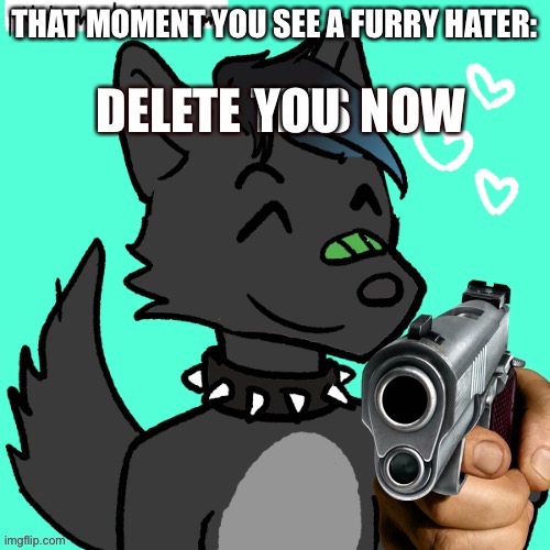 Eric: delete this | THAT MOMENT YOU SEE A FURRY HATER:; YOU | image tagged in eric delete this | made w/ Imgflip meme maker