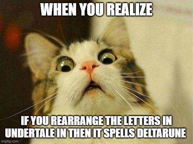 Scared Cat | WHEN YOU REALIZE; IF YOU REARRANGE THE LETTERS IN UNDERTALE IN THEN IT SPELLS DELTARUNE | image tagged in memes,scared cat | made w/ Imgflip meme maker