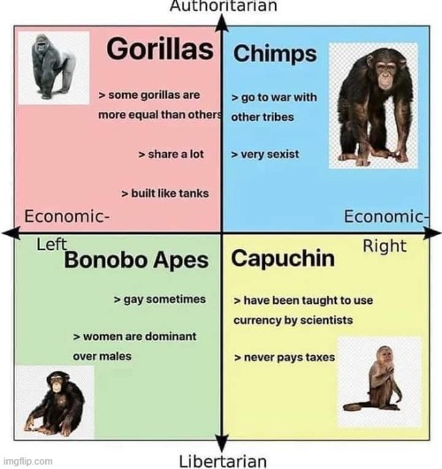 who is the based monkey | image tagged in repost,reposts,reposts are awesome,chimpanzee,gorilla,apes | made w/ Imgflip meme maker