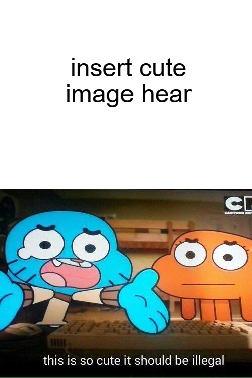 this is so cute it should be illegal Blank Meme Template