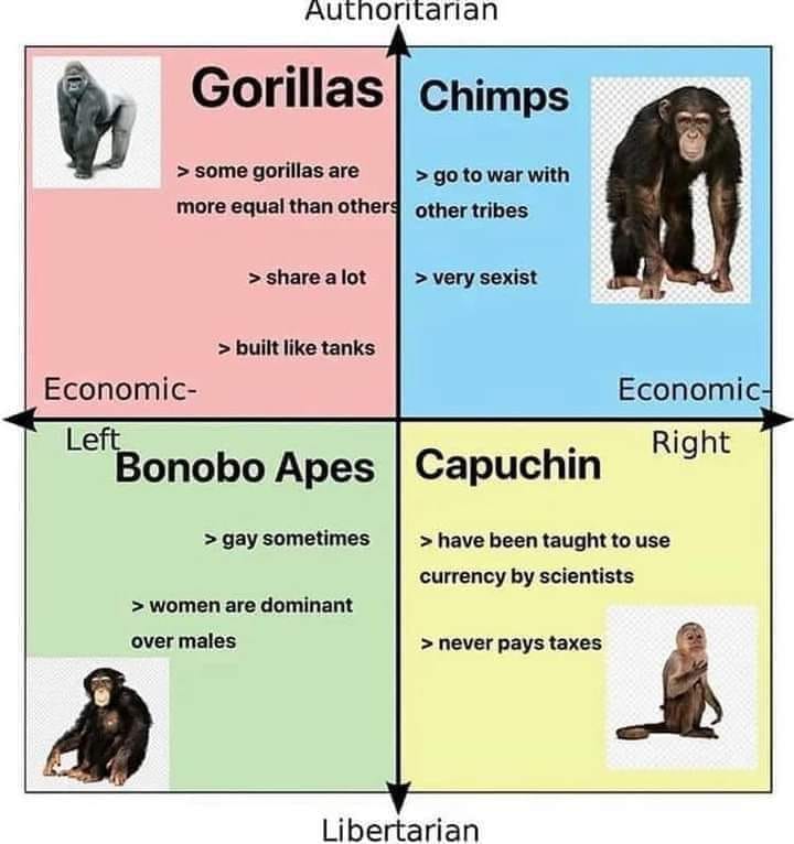 High Quality Primate political compass Blank Meme Template
