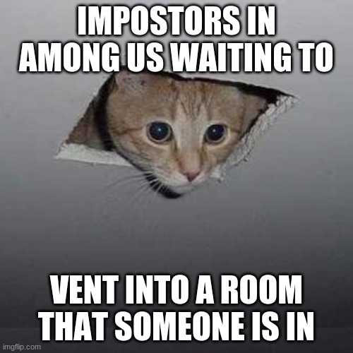 This is How Venting Works Right? | IMPOSTORS IN AMONG US WAITING TO; VENT INTO A ROOM THAT SOMEONE IS IN | image tagged in memes,ceiling cat,among us | made w/ Imgflip meme maker