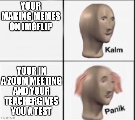 thats not good | YOUR MAKING MEMES ON IMGFLIP; YOUR IN A ZOOM MEETING AND YOUR TEACHERGIVES YOU A TEST | image tagged in two buttons | made w/ Imgflip meme maker