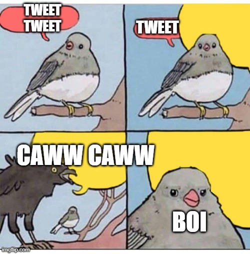 That friend | TWEET
TWEET; TWEET; CAWW CAWW; BOI | image tagged in annoyed bird | made w/ Imgflip meme maker