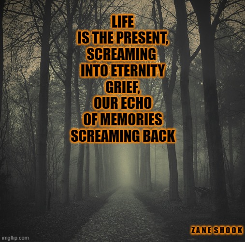 Echo of Grief | LIFE
IS THE PRESENT,
SCREAMING 
INTO ETERNITY

GRIEF,
OUR ECHO
OF MEMORIES
SCREAMING BACK; Z A N E  S H O O K | image tagged in grief,love,loss | made w/ Imgflip meme maker