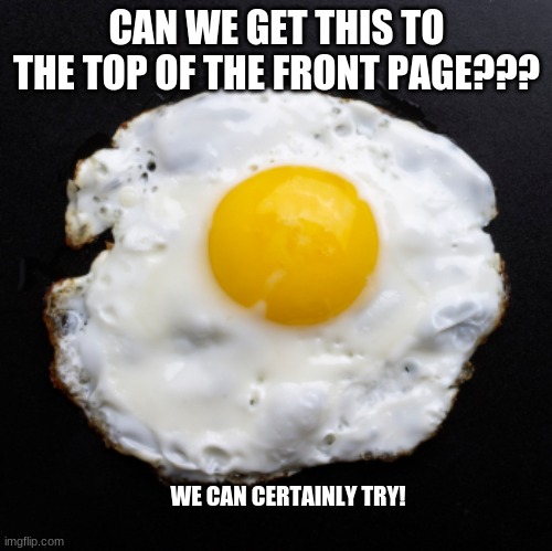 LETS DO THIS THING | CAN WE GET THIS TO THE TOP OF THE FRONT PAGE??? WE CAN CERTAINLY TRY! | image tagged in eggs | made w/ Imgflip meme maker