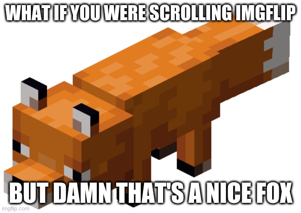 Minecraft fox | WHAT IF YOU WERE SCROLLING IMGFLIP; BUT DAMN THAT'S A NICE FOX | image tagged in minecraft fox | made w/ Imgflip meme maker