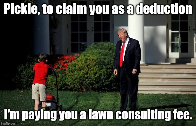 Consulting Pickle | Pickle, to claim you as a deduction; I'm paying you a lawn consulting fee. | image tagged in trump lawn mower,taxes,con man,lies,cheater,scumbag | made w/ Imgflip meme maker
