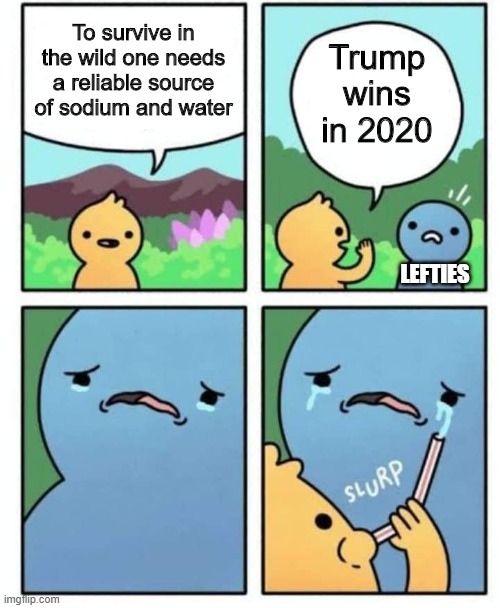 Uses for liberal tears: 201 | Trump wins in 2020; To survive in the wild one needs a reliable source of sodium and water; LEFTIES | image tagged in politics,political meme | made w/ Imgflip meme maker