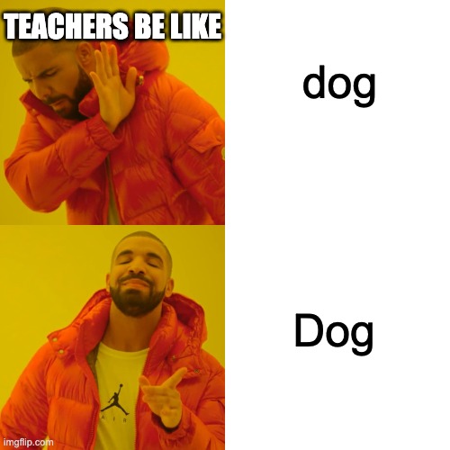 Drake Hotline Bling Meme | TEACHERS BE LIKE; dog; Dog | image tagged in memes,drake hotline bling | made w/ Imgflip meme maker