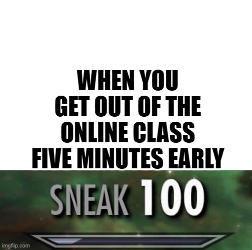 S N E A K Y | WHEN YOU GET OUT OF THE ONLINE CLASS FIVE MINUTES EARLY | image tagged in sneak 100,online school | made w/ Imgflip meme maker