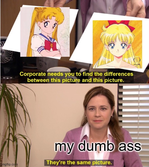 They're The Same Picture | my dumb ass | image tagged in memes,they're the same picture | made w/ Imgflip meme maker