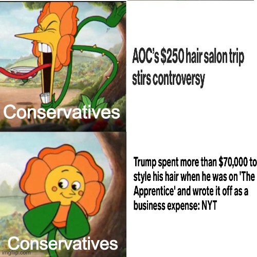 I can’t even fathom how it’s possible that haircuts cost that much. | Conservatives; Conservatives | image tagged in cuphead flower,haircut,conservative hypocrisy,donald trump,aoc | made w/ Imgflip meme maker