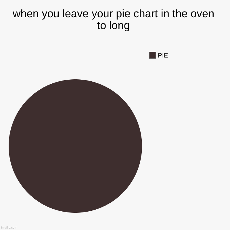 when you leave your pie chart in the oven to long | PIE | image tagged in charts,pie charts | made w/ Imgflip chart maker