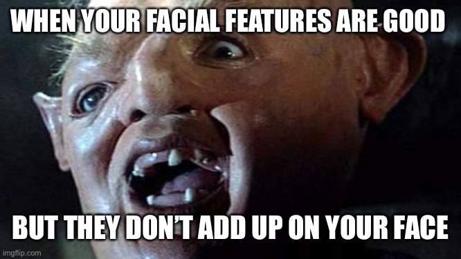 Hey ugly guysss |  WHEN YOUR FACIAL FEATURES ARE GOOD; BUT THEY DON’T ADD UP ON YOUR FACE | image tagged in sloth goonies hey you guys,goonies,sloth goonies,80s,movies,ugly | made w/ Imgflip meme maker