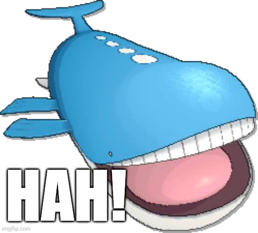 Laughing Wailord | HAH! | image tagged in pokemon | made w/ Imgflip meme maker