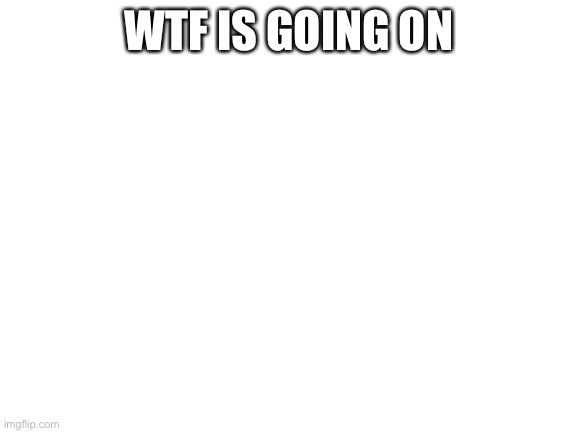 Blank White Template | WTF IS GOING ON | image tagged in blank white template | made w/ Imgflip meme maker
