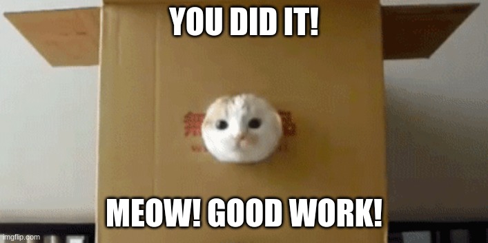 Meow! | YOU DID IT! MEOW! GOOD WORK! | image tagged in meow | made w/ Imgflip meme maker