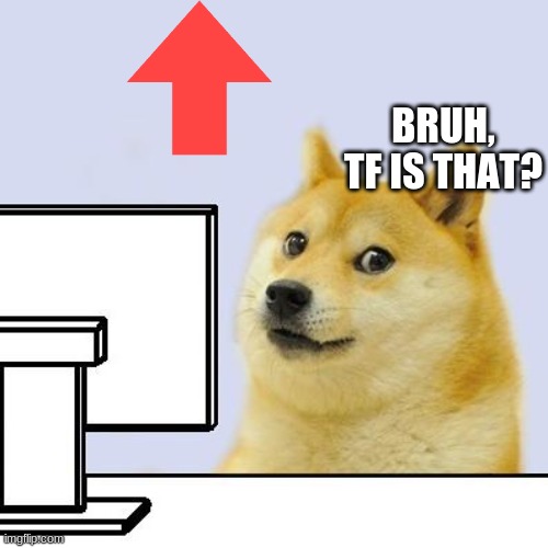 Im just playin´ | BRUH, TF IS THAT? | image tagged in hacker doge | made w/ Imgflip meme maker