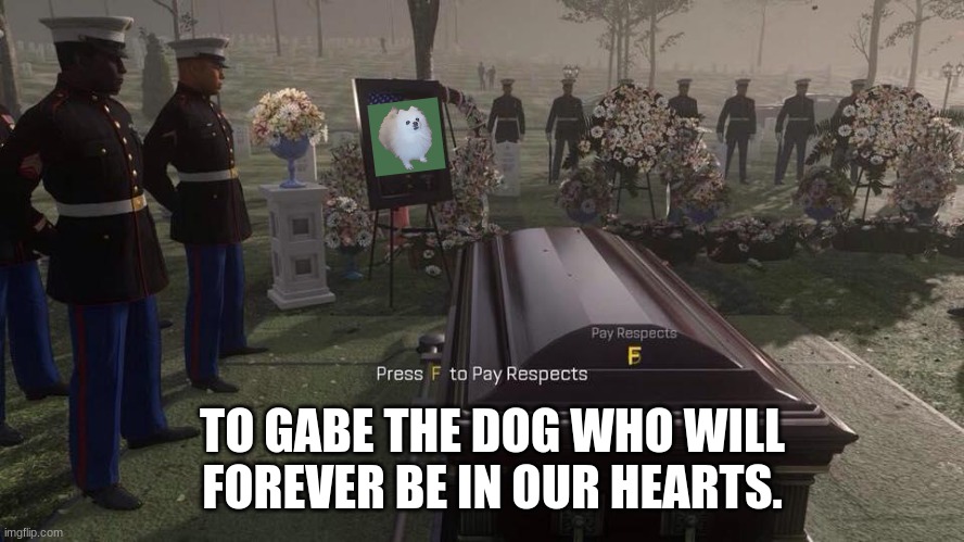 for gabe | TO GABE THE DOG WHO WILL FOREVER BE IN OUR HEARTS. | image tagged in press f to pay respects | made w/ Imgflip meme maker