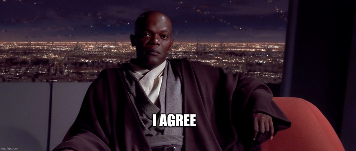 Mace Windu I agree | I AGREE | image tagged in mace windu i agree | made w/ Imgflip meme maker