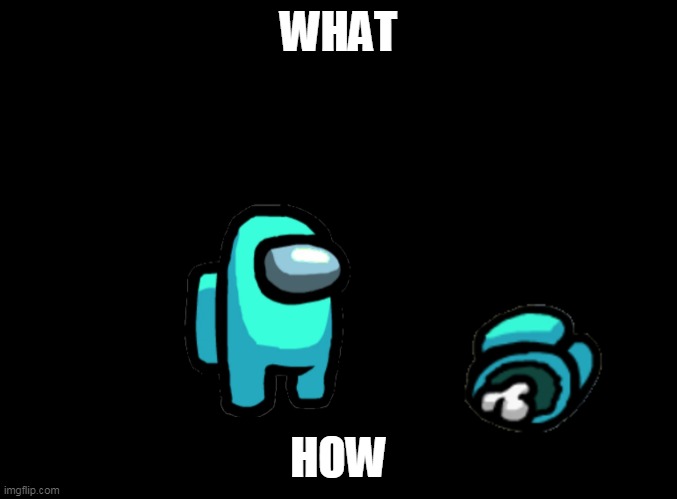 blank black | WHAT; HOW | image tagged in blank black | made w/ Imgflip meme maker