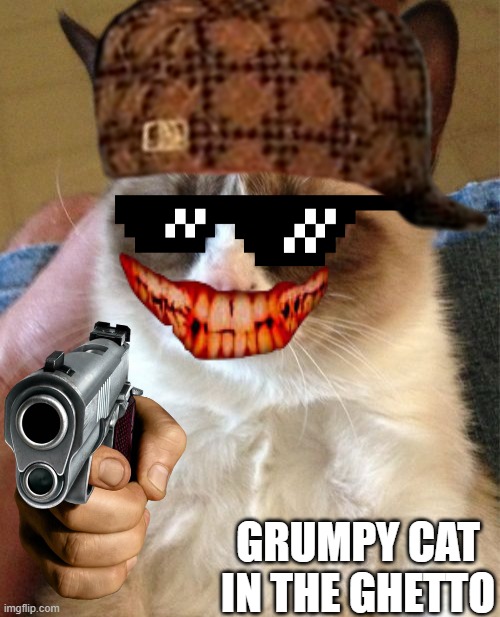 Grumpy cat | GRUMPY CAT IN THE GHETTO | image tagged in memes,grumpy cat | made w/ Imgflip meme maker