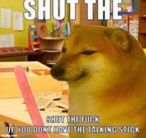 You dont have the talking stick | image tagged in cheems | made w/ Imgflip meme maker