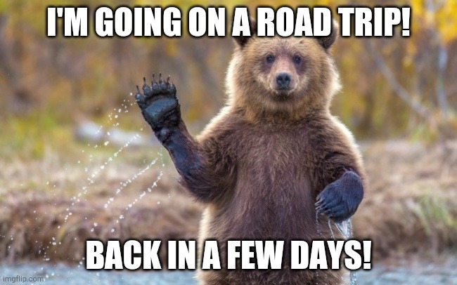 Byyyyeeeee! | I'M GOING ON A ROAD TRIP! BACK IN A FEW DAYS! | image tagged in bye bye bear | made w/ Imgflip meme maker