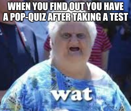 Me everyday | WHEN YOU FIND OUT YOU HAVE A POP-QUIZ AFTER TAKING A TEST | image tagged in wat | made w/ Imgflip meme maker