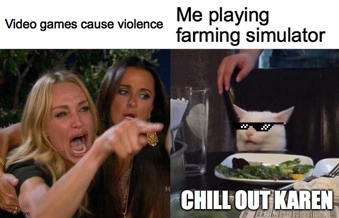 Woman Yelling At Cat | Video games cause violence; Me playing farming simulator; CHILL OUT KAREN | image tagged in memes,woman yelling at cat | made w/ Imgflip meme maker