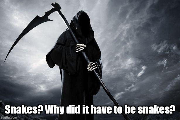 Death | Snakes? Why did it have to be snakes? | image tagged in death | made w/ Imgflip meme maker