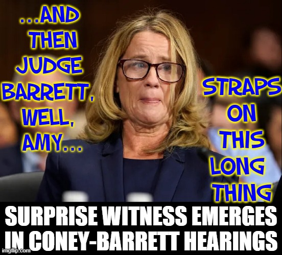 "Brett held me down, this time!" —Professional Victim Christine Blassey-Ford | ...AND 
THEN
JUDGE 
BARRETT, 
WELL, 
AMY... STRAPS
ON
THIS
LONG 
THING; SURPRISE WITNESS EMERGES IN CONEY-BARRETT HEARINGS | image tagged in vince vance,christine blasey ford,senate,confirmation hearings,memes,democrats | made w/ Imgflip meme maker