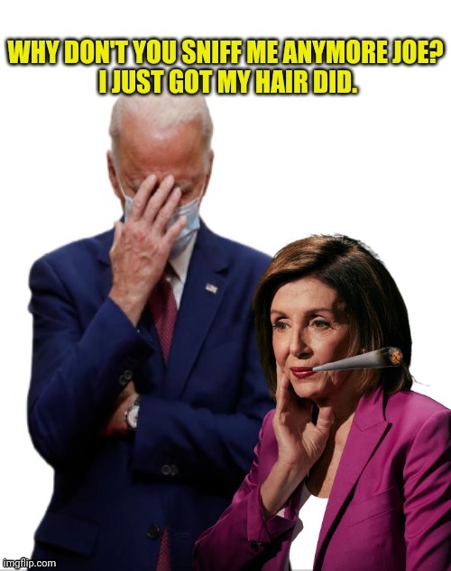 Nasty Nancy and Sniffing Joe | image tagged in politics,old af | made w/ Imgflip meme maker