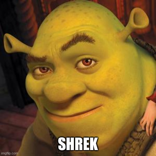 Shrek Sexy Face | SHREK | image tagged in shrek sexy face | made w/ Imgflip meme maker