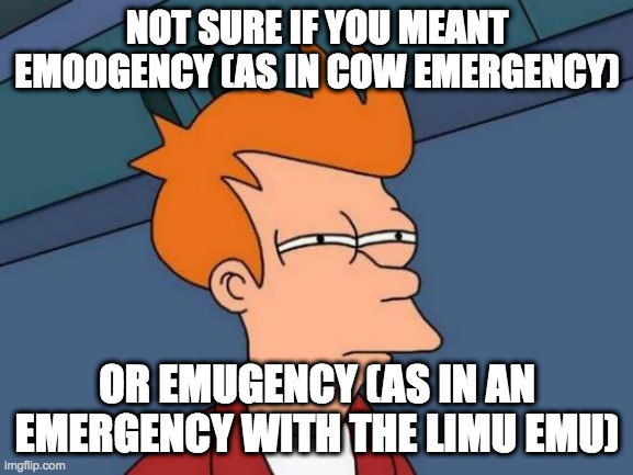 Futurama Fry | NOT SURE IF YOU MEANT EMOOGENCY (AS IN COW EMERGENCY); OR EMUGENCY (AS IN AN EMERGENCY WITH THE LIMU EMU) | image tagged in memes,futurama fry | made w/ Imgflip meme maker