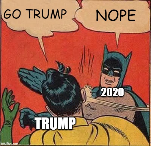 Batman Slapping Robin | GO TRUMP; NOPE; 2020; TRUMP | image tagged in memes,batman slapping robin | made w/ Imgflip meme maker