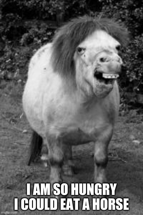ugly horse |  I AM SO HUNGRY I COULD EAT A HORSE | image tagged in ugly horse | made w/ Imgflip meme maker