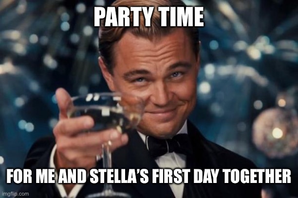 Leonardo Dicaprio Cheers Meme | PARTY TIME; FOR ME AND STELLA’S FIRST DAY TOGETHER | image tagged in memes,leonardo dicaprio cheers,party,relationships | made w/ Imgflip meme maker
