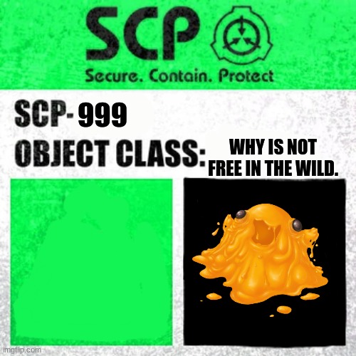 scp 999 | 999; WHY IS NOT FREE IN THE WILD. | image tagged in scp label template safe | made w/ Imgflip meme maker